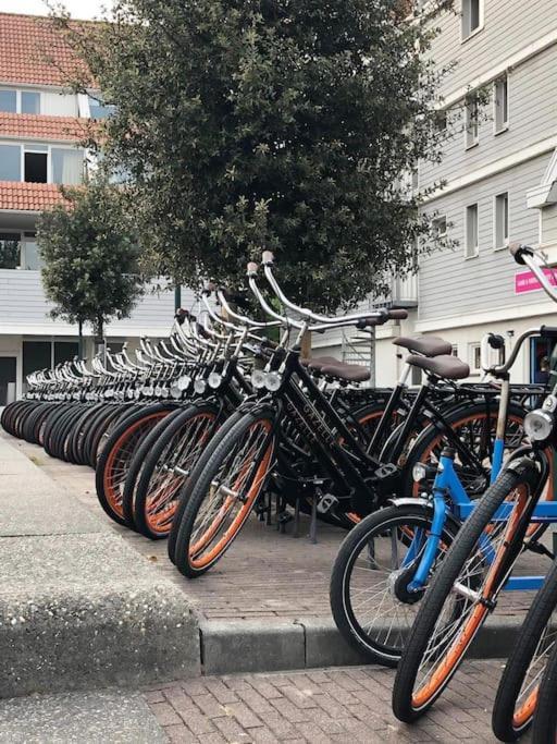 Welkom In Dekreek V59, Dem Freundlichen * Bruinisse